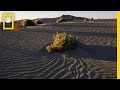 Exploration Challenges and Tumbleweed Facts