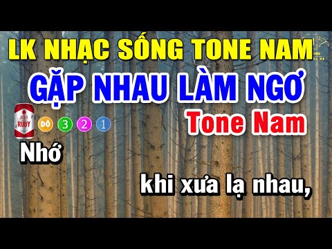 Karaoke Liên Khúc Nhạc Trữ Tình Bolero Tone Nam | Gặp Nhau Làm Ngơ – Nối Lại Tình Xưa