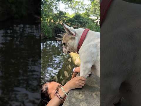 Hero Dog Saves Baby from Dangerous Waters! #dog #lovedog #pet