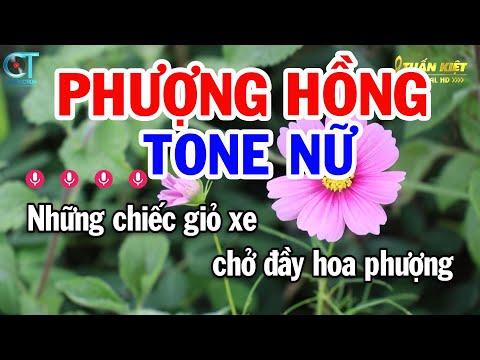 Karaoke Phượng Hồng Tone Nữ ( Em ) Nhạc Sống Tuấn Kiệt