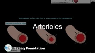 Arterioles