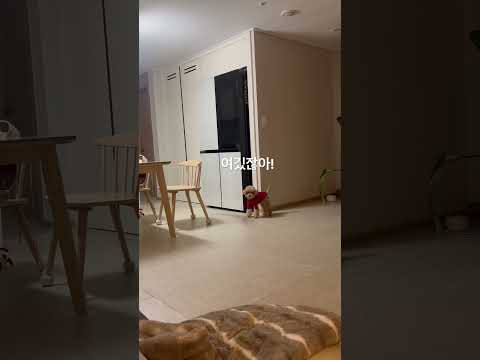 우유달라고 시위중인 복떠니?