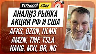 Анализ рынка акций РФ и США/ AFKS, OZON, NLMK, AMZN, TMF, TSLA/ HANG, MXI, BR, NG
