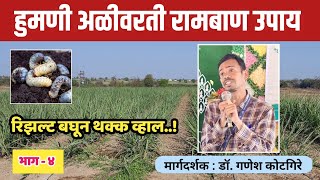 हुमणी अळीवरती रामबाण उपाय | रिझल्ट बघून थक्क व्हाल!