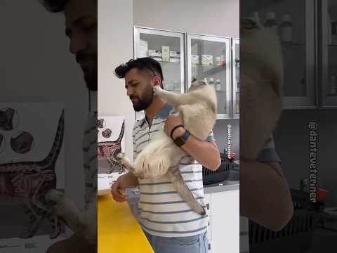 EN TATLI SALDIRILAR!