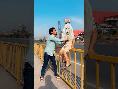 Dog 🐕 bahut bhari hai 🤣#comedy #funny #shortsfeed #youtubeshorts