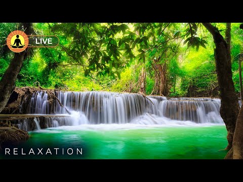 &#128308;&#160;Relaxing Music 24/7, Piano Music, Sleep Music, Calm Music, Sleep, Insomnia, Piano, Flowing Water