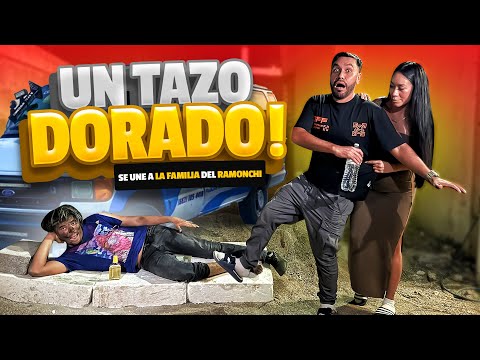 TAZO DORADO INVADE A RAMONCHI & MARTHA | Nuevo inquilino