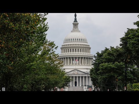 YouTube video thumbnail: Federal Workers in Illinois Face Uncertainty Amid Shutdown