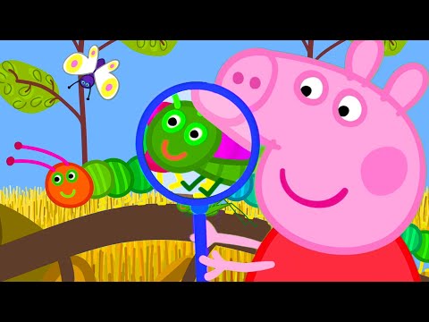 Tantos insetos! | Peppa Pig Portuguese Brazil Episódios completos