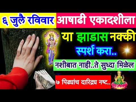 #आषाढी एकादशीला या झाडाला नक्की स्पर्श करा,नशीबात नाही ते सुध्दा💰मिळेल दारिद्र्य नष्ट होईल.!!