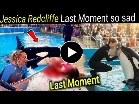 Jessica Radcliffe orca and Dolphin Last Moment very sad 😭 | आखिरी वो पल जिसको देखकर हर कोई हैरान