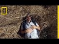 Nature and Technology: Impact on Human Well-being
