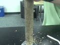 Sedimentation Process and Observations