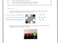 Understanding Ratios and Proportions