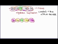 Combining Like Terms in Algebra
