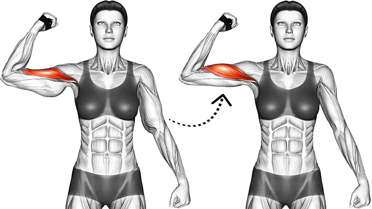 10 Best Arm Fat Exercises to Tone Flabby Arms Quickly