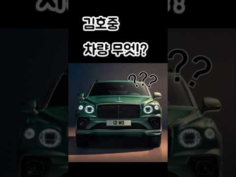 뺑소니 김호중 차량 무엇⁉️