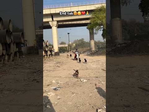 मेरे बच्चे मेरी जान है 🥺🙏🥰|#dog