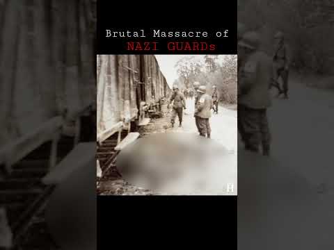 Dachau Massacre - Brutal Execution of Nazi Guards at Dachau #shorts #dachau #nazigermany