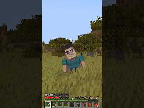 JUGANDO EL MOD DE STEVE GROTESCO 💀💀🍓  #minecraft #mods #minecraftjava #humor #bandisergio #addons