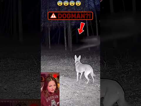 Is This A DOGMAN?! #cryptid #dogman #reactionvideos #cryptids #creepyencounters