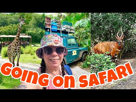 We Found the NEW Baby Giraffe! 🦒 Hidden Animal Kingdom Gems + Best Lunch Spot 🍽️