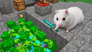 🧟 Hamster vs Zombies 🐹 Minecraft Hamster Maze