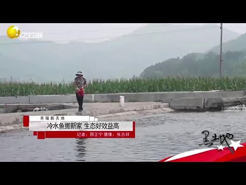 黑土地 20250710：冷水魚搬新家，生態好效益高