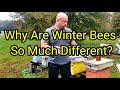Beekeeping Practices and Seasonal Changes