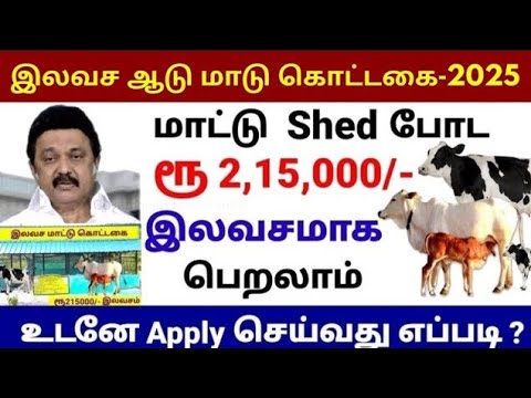 இலவச மாட்டு கொட்டகை 2025 | Free Cow shed | Cow free shed | Cow shed | Free shed scheme in Tamil