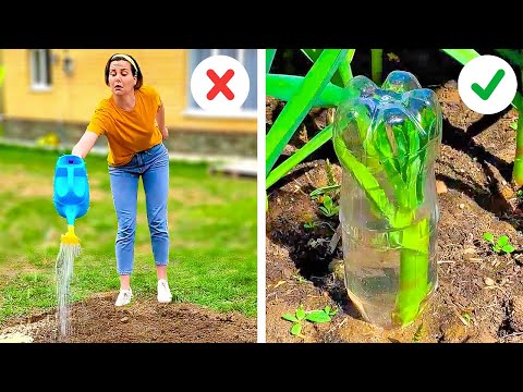 Trucos de jardinería de expertos que también querrás conocer