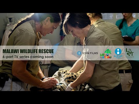 Malawi Wildlife Rescue TV Series