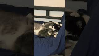 Aggressive bath time 2 of 2