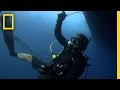 Shark Conservation and Longline Fishing