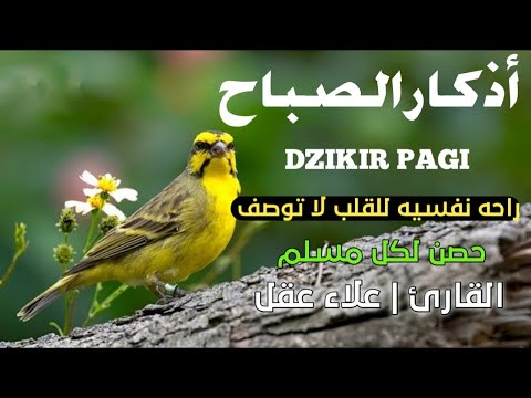 أذكار الصباح راحة نفسية لا توصف بصوت القارئ علاء عقل  Morning Athkar | Dzkir Pagi by Alaa Aql