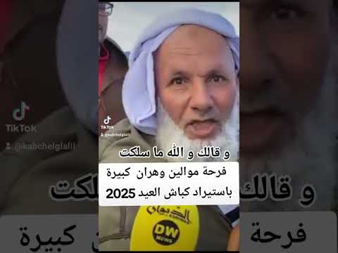 فرحة كبيرة وسط موالين وهران بعد استيراد #كباش_رومانيا