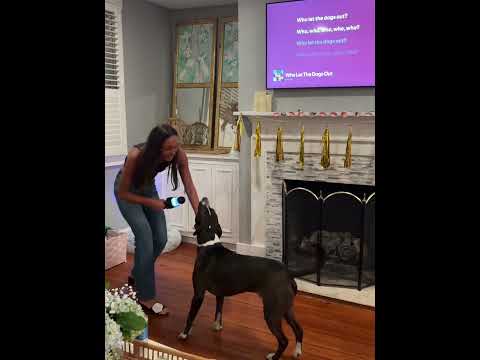 who let the dogs sing hahaha! 🤣 #karaoke