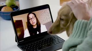 Dutch - Defeat Fleas and Ticks Commercial (2025)