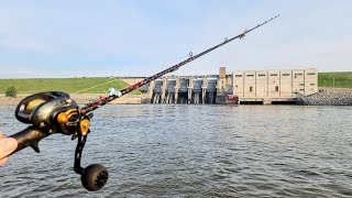 Dam Fishing For MY DINNER!!! (All Night Fishing)