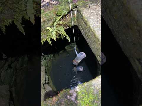 Rare animals in an abandoned well!