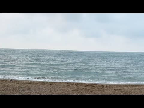 بدأت صباح الخيرات