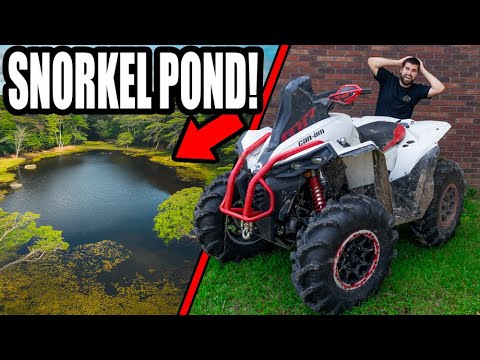 Four-Wheelers DESTROY My POND!