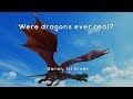 Exploring the Myth of Dragons