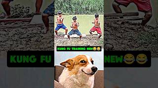 Kung Fu training New😂😂 #funny