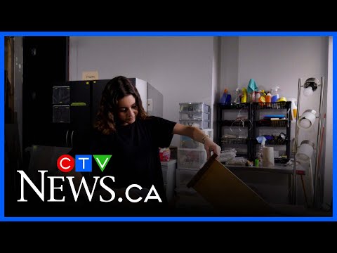 YouTube video thumbnail: Laval non-Profit That Gave Furniture a Second Life Forced to Shut Down