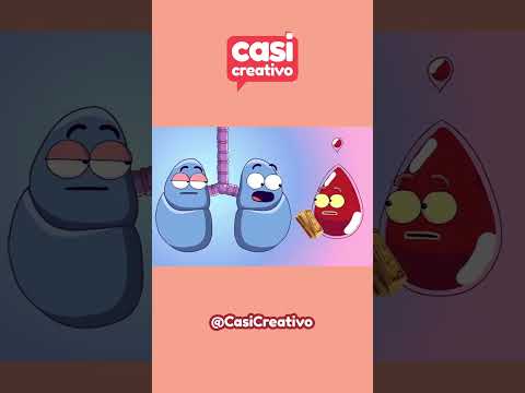 El valor del Dinero 🤑 De Casi Creativo