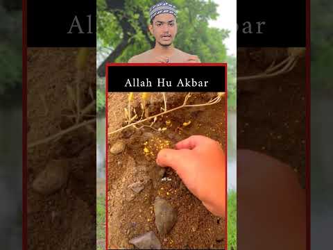 Allah Rabbul Izzat Ki Qudrat #shorts