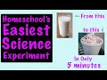 Ice Cream Experiment and Phase Changes