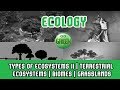 Desert and Grassland Ecosystems